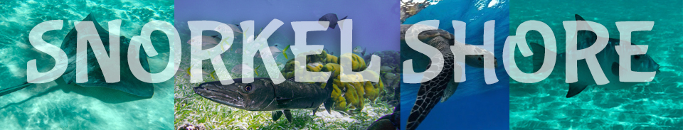 photo by xxxxxxxxxxxx